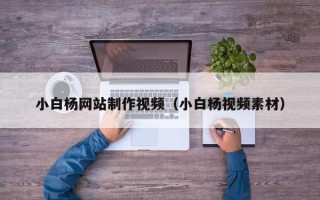 诸暨小白杨网站制作视频（小白杨视频素材）